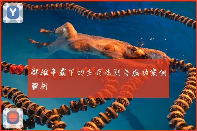 群雄争霸下的生存法则与成功案例解析