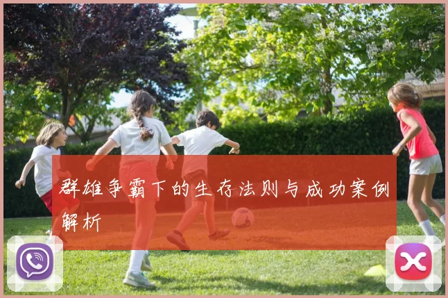 群雄争霸下的生存法则与成功案例解析
